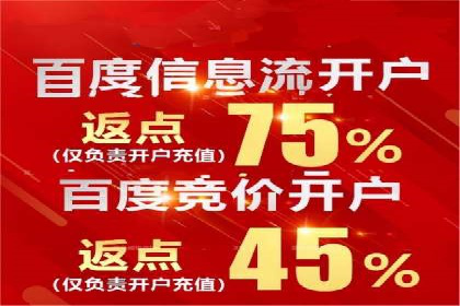 成功SEM托管案例解析